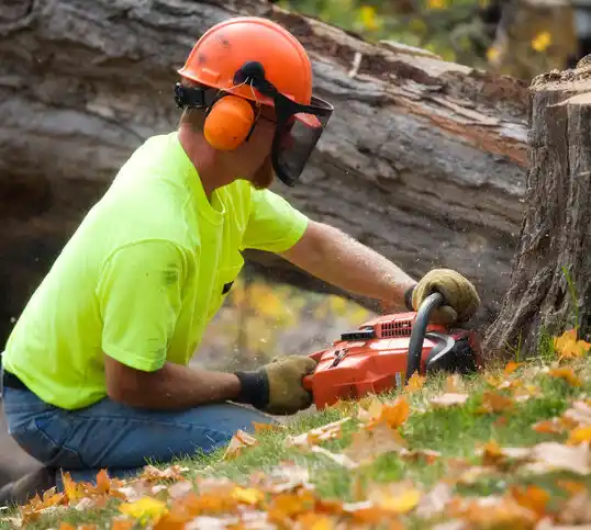 tree services North Carolina